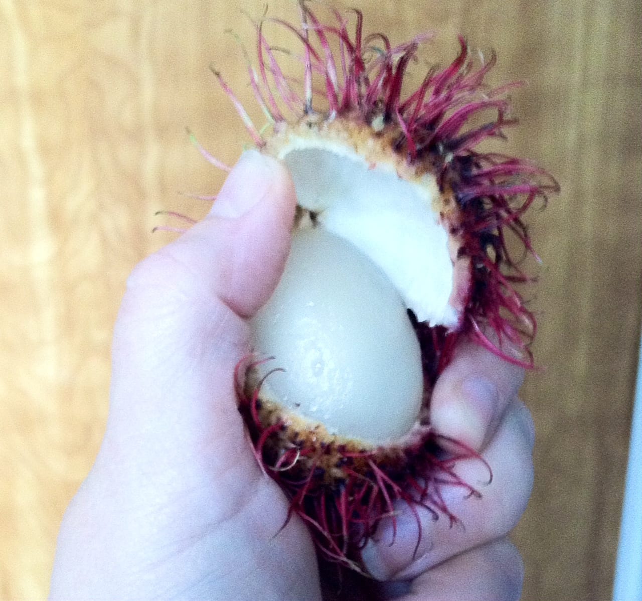 Inside the rambutan.