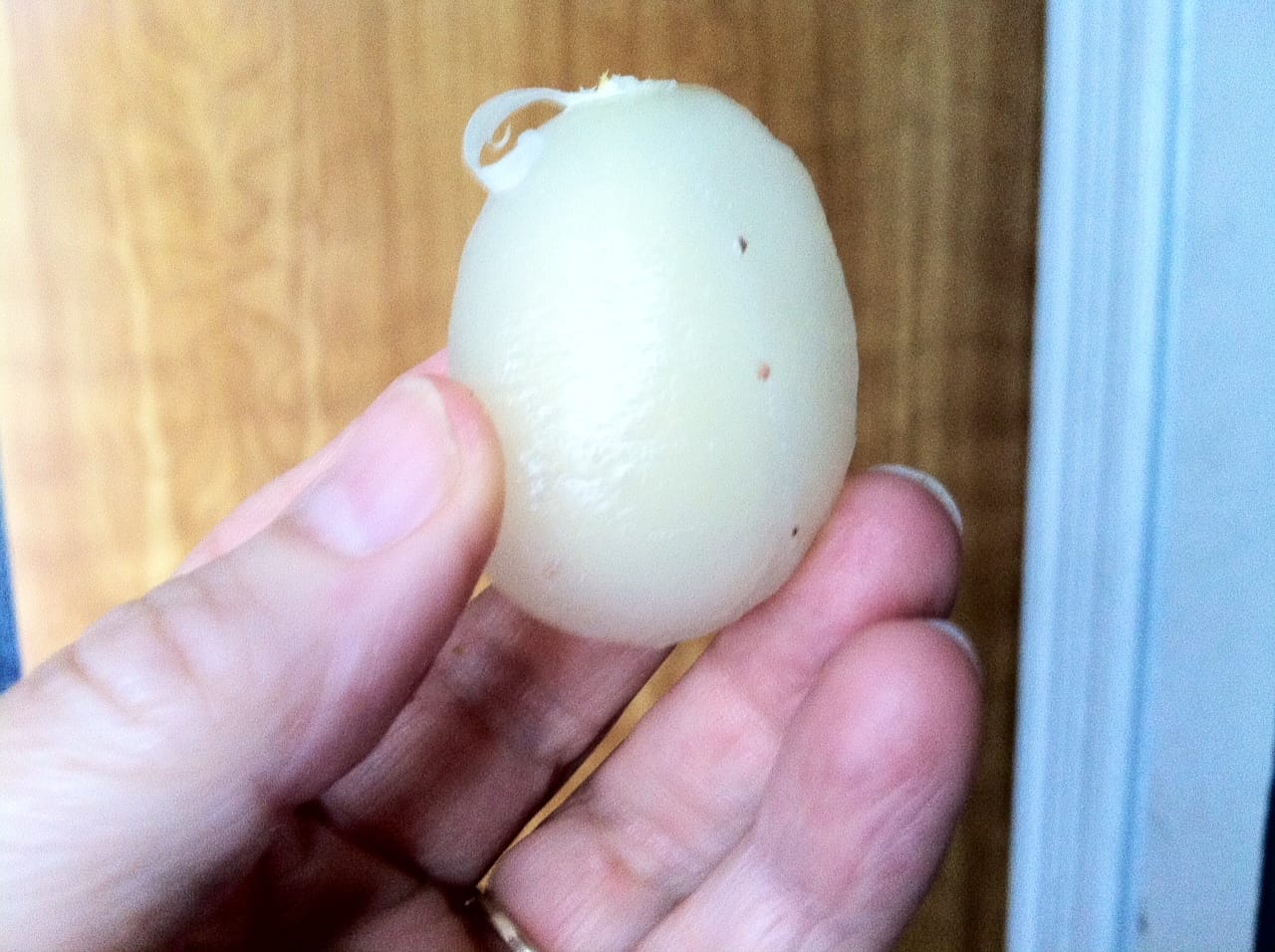 The mysterious fruity center of a rambutan.