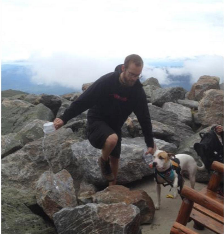Do you recognize this pit bull, wanted for killing hiker’s dog?