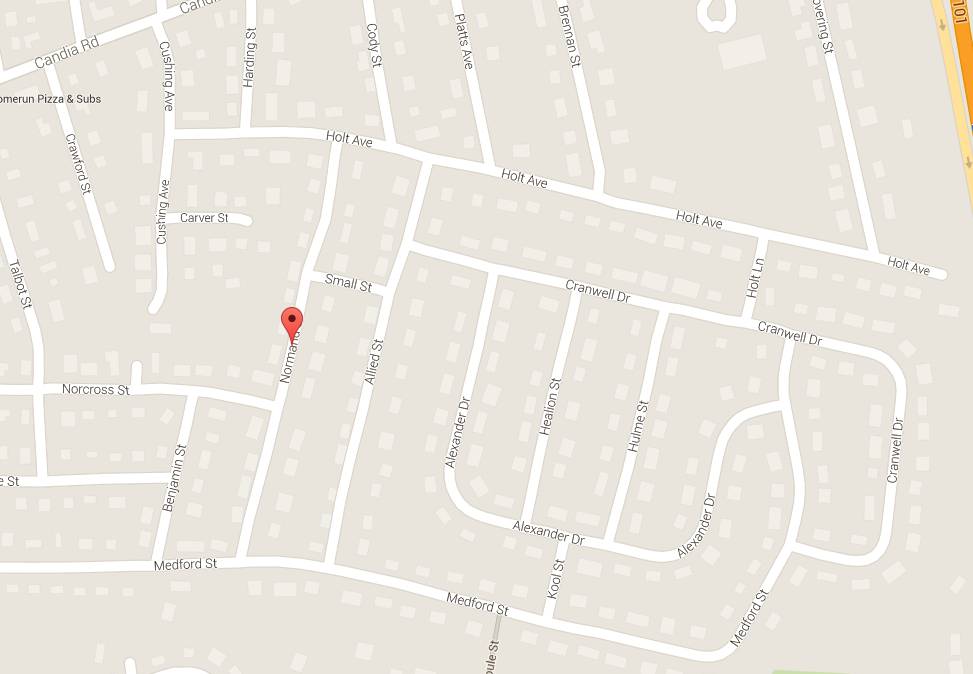 Woman, 88, attacked by dog on Normand Street