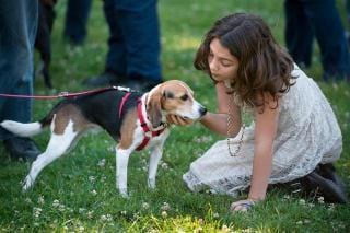 Ella Warner, 9, visits with another rescue saved thanks to Beagle Freedom Project.