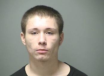 Puppy caper suspect linked to cab driver robberies
