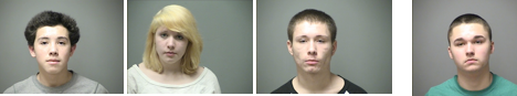 13 puppies = $5,105 and felony charges for 4 alleged puppy thieves