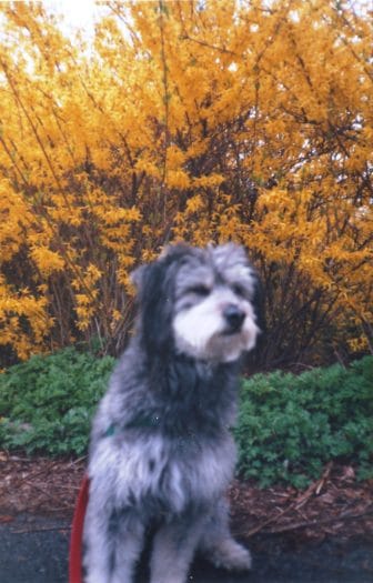 Lucky, not posing.