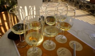 Wine Tasting