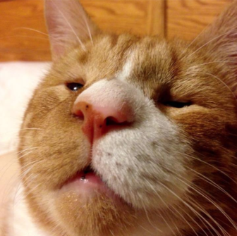 Mr. Magoo