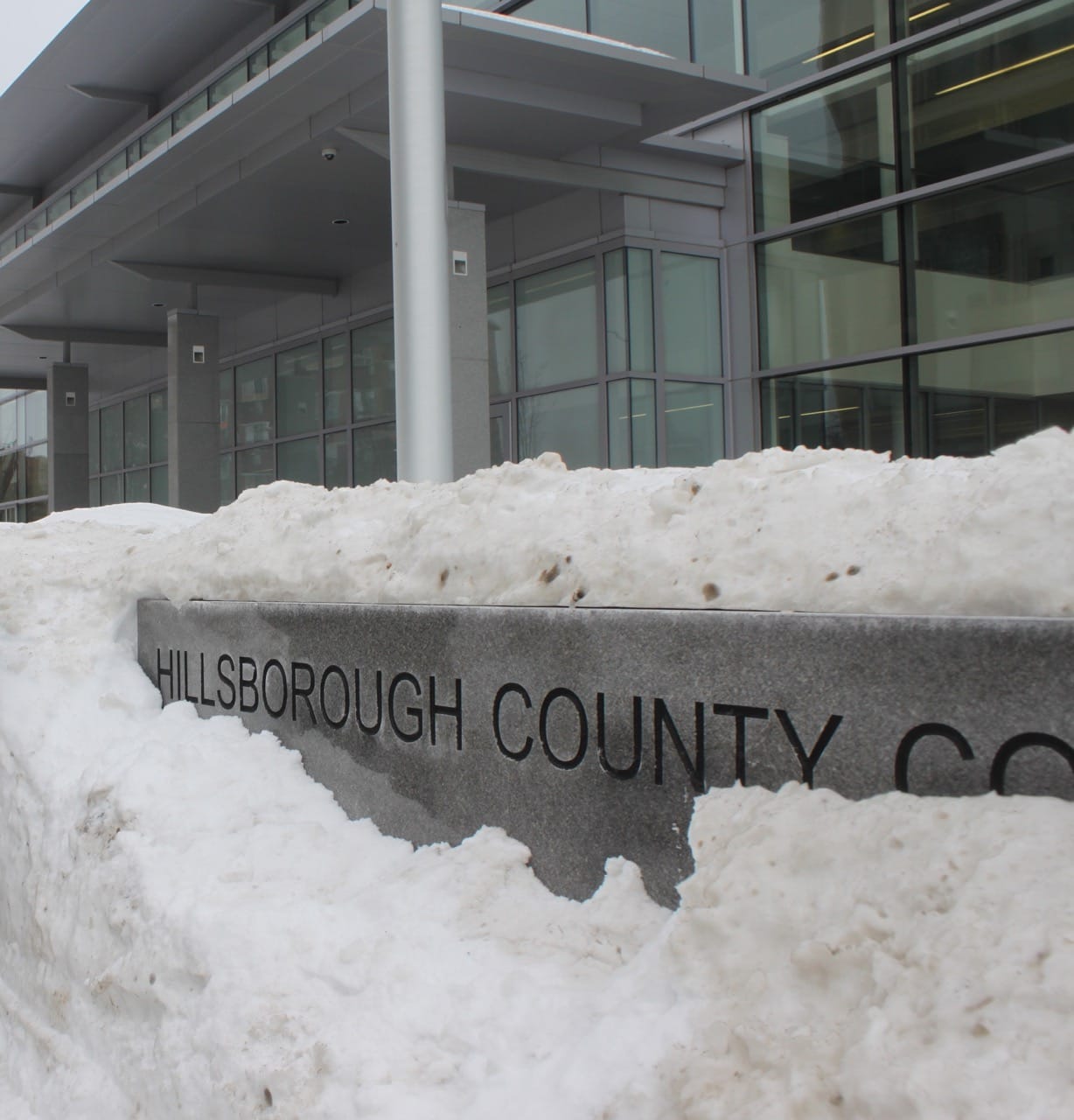 Jan. grand jury indictments from Hillsborough County (North)