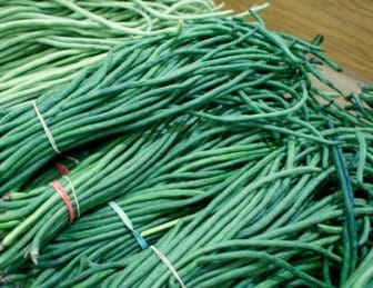 Those are some long beans!