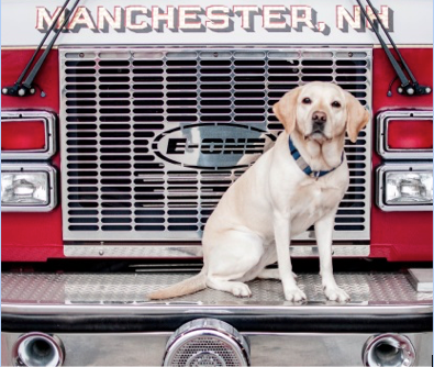 National Arson Awareness Week May 3-9: Meet MFD’s ‘fire-sniffing’ dog Wynett