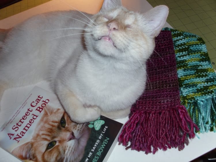 Lots of pet-friendly summer reads – and an update on Grulla Stallion 3907