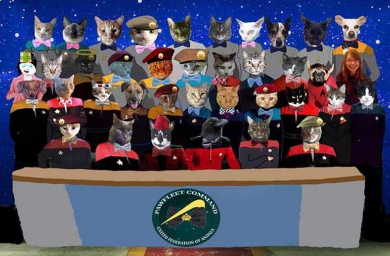 Pawfleet