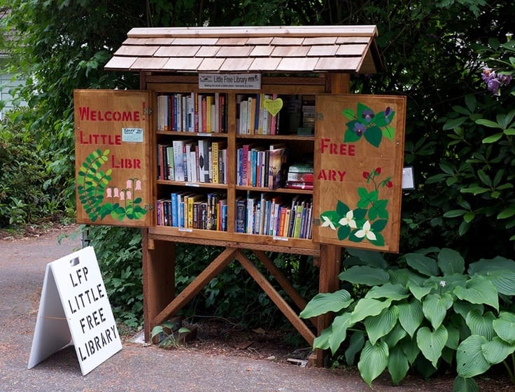 Library boxes are a growing trend in communities around the country.