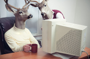 Demand for ‘antlerless deer’ hunting permits crashes NH Fish & Game site