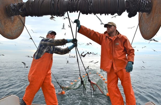 Calling all seafood lovers