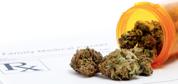 cannabis
