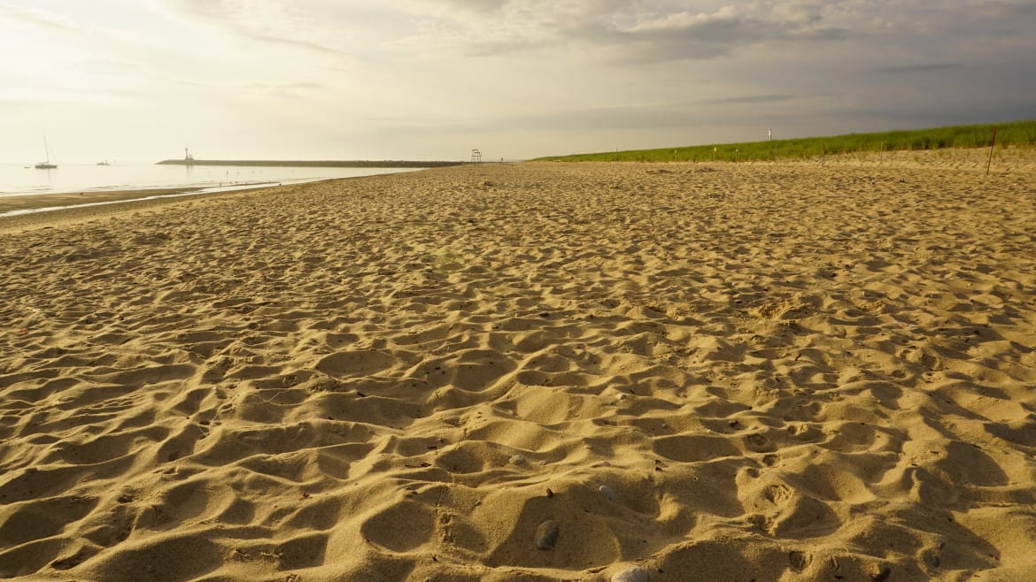 Scusset Beach 086