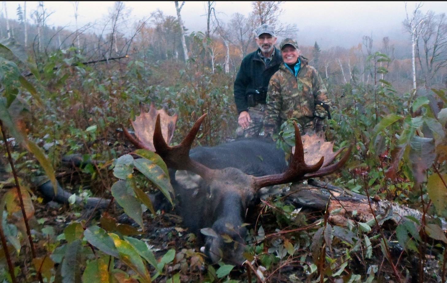 NH hunting report – deer, moose harvest numbers down slightly this year