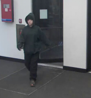 TD Bank robber.