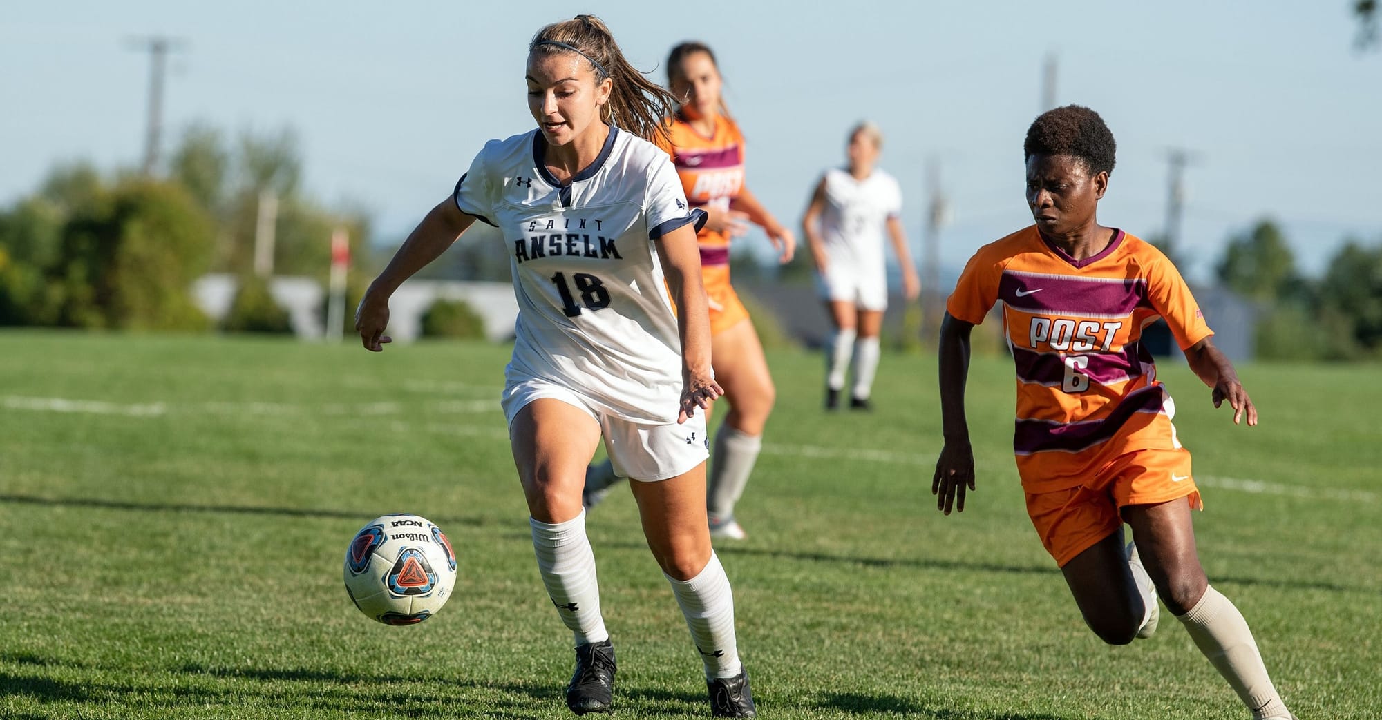 Hawks soar in volleyball, fall in soccer