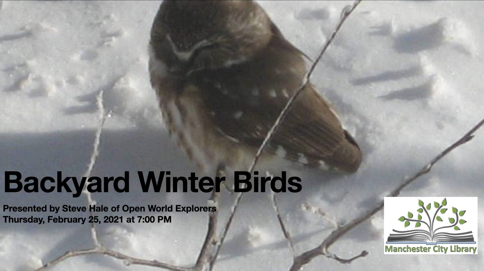 Feb. 25: Everything you need to know about winter backyard birds with naturalist Steve Hale