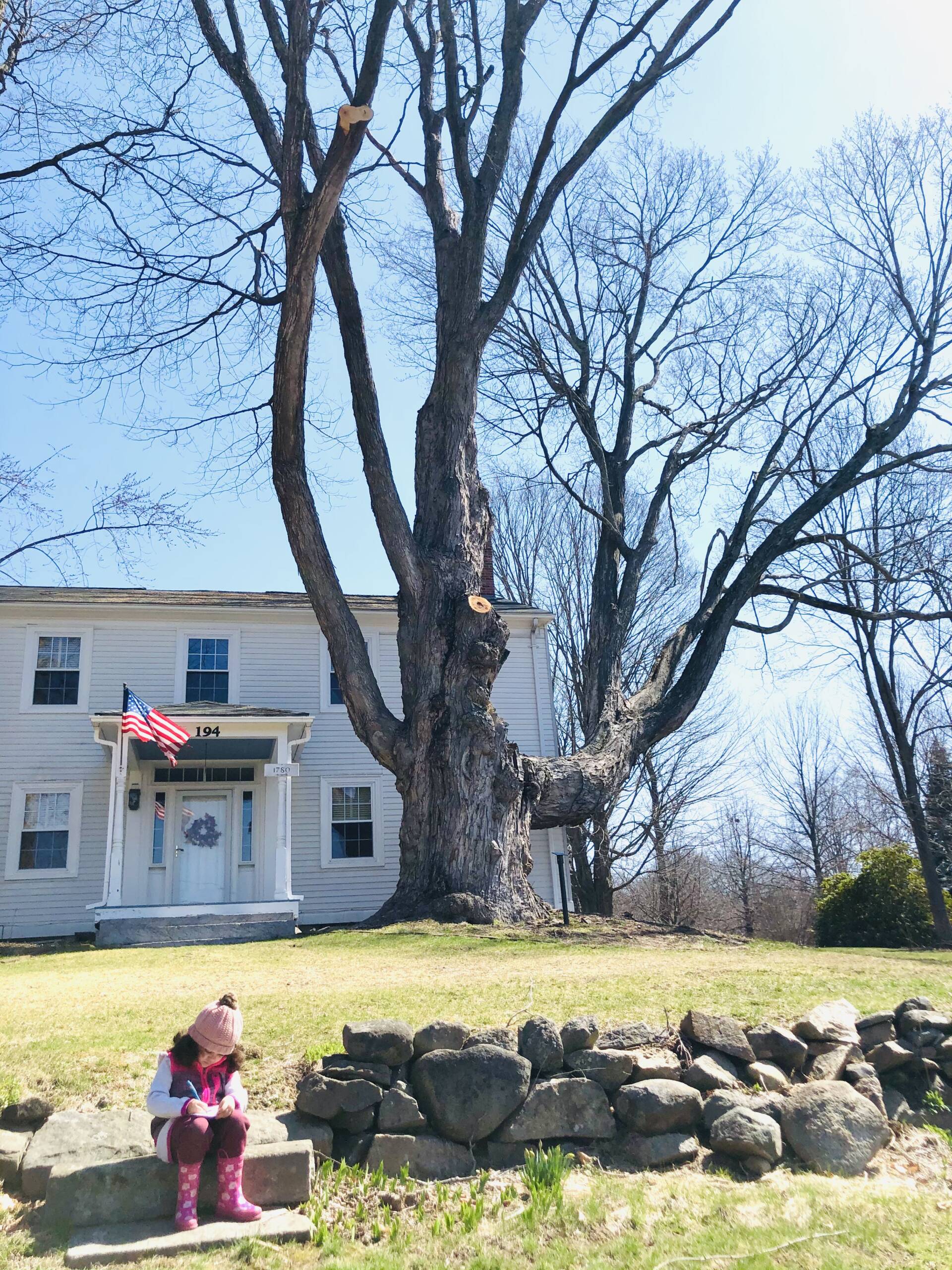 Tree of Long Life: We make one last visit to the oldest sugar maple