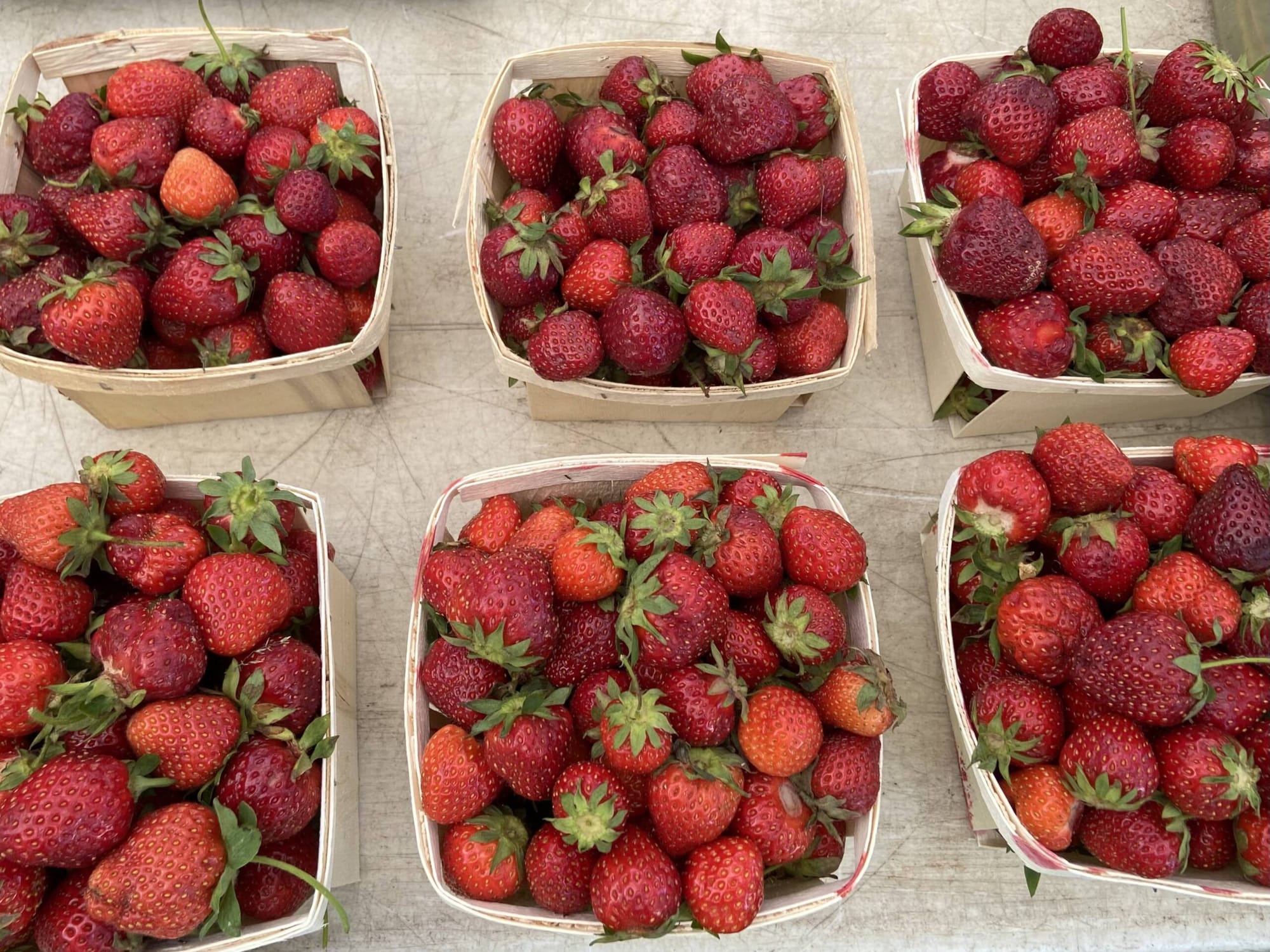 Summer Farmers Market returns to Victory Park every Thursday, ribbon-cutting set for June 24
