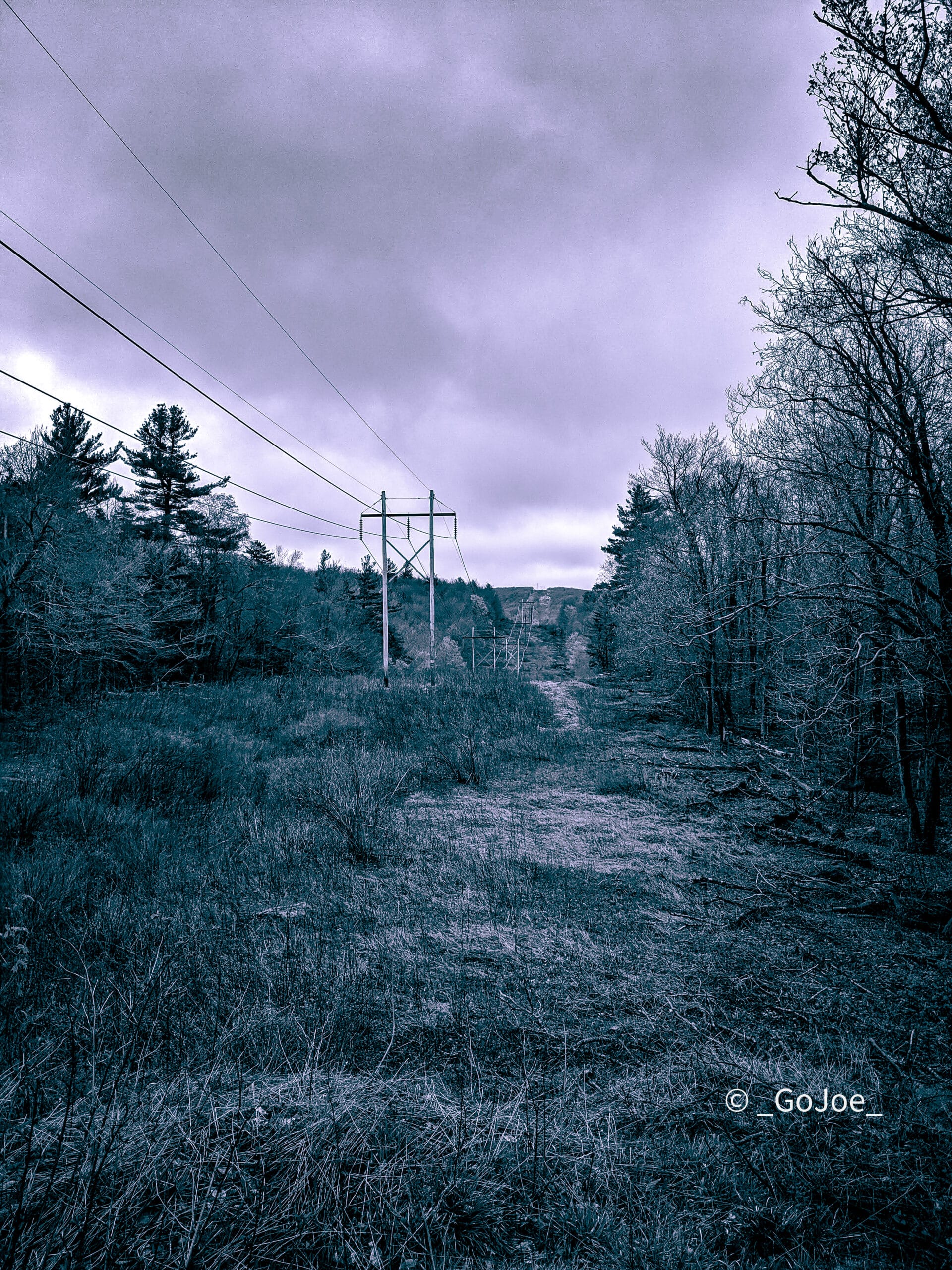 Artists Muse: Joe Dakin on Climate Change, ‘As a Seed’