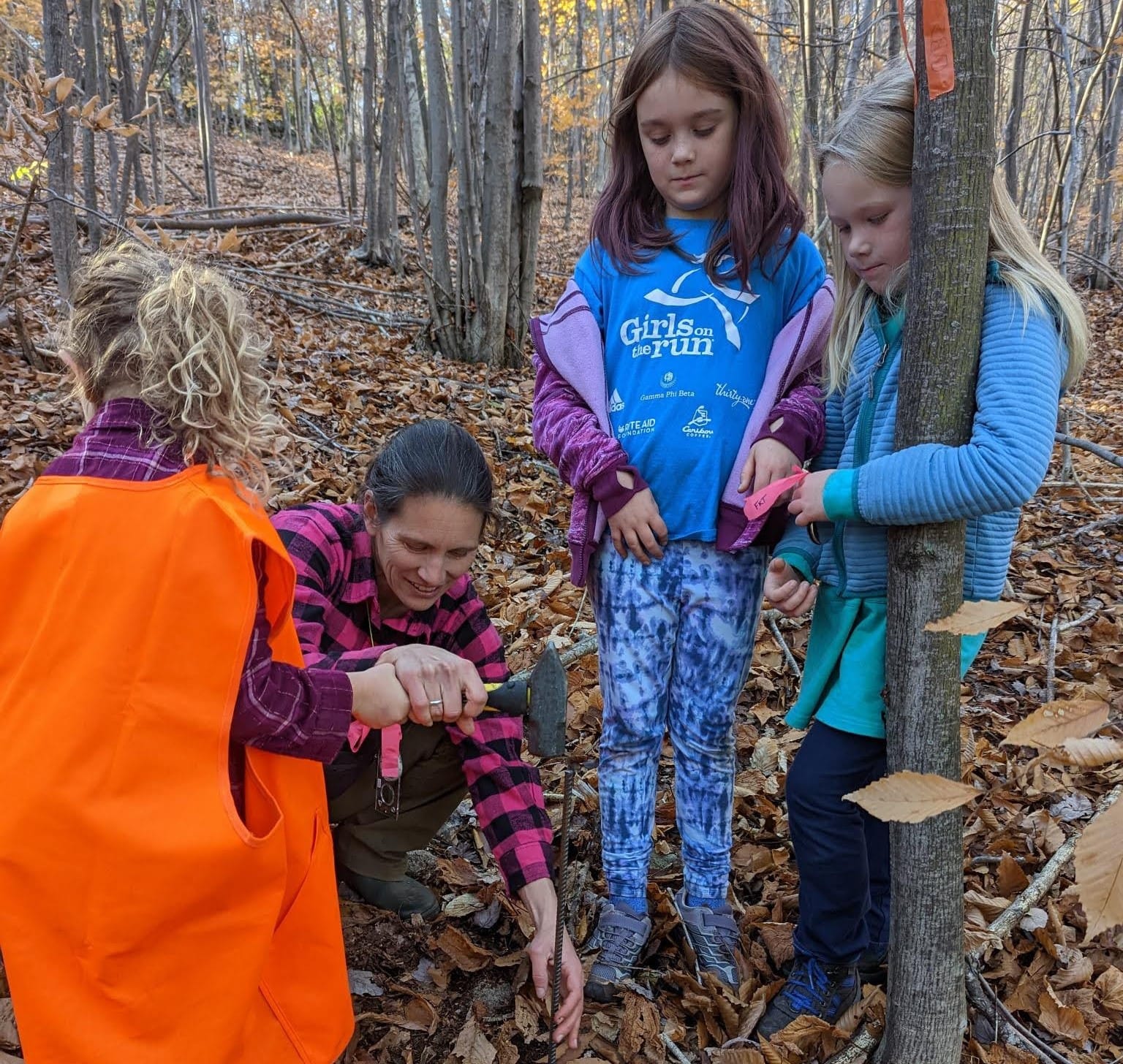 Small purchase by land trust is part of a much bigger Maine, NH conservation picture