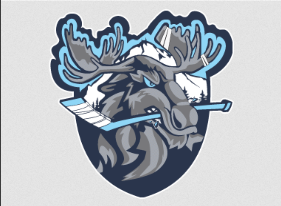 New hockey team coming to Manchester area next season