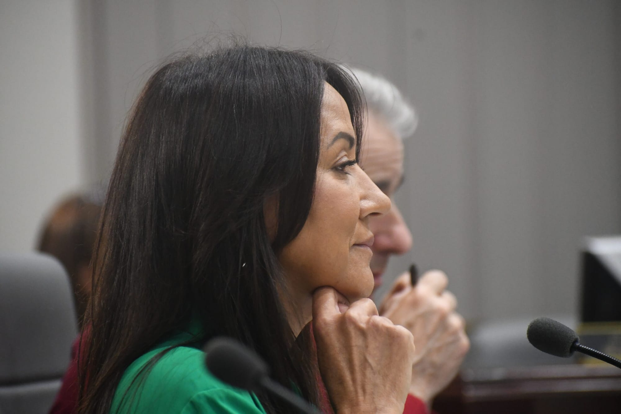 Homeless detox debate arises in Aldermanic chambers for second night in a row