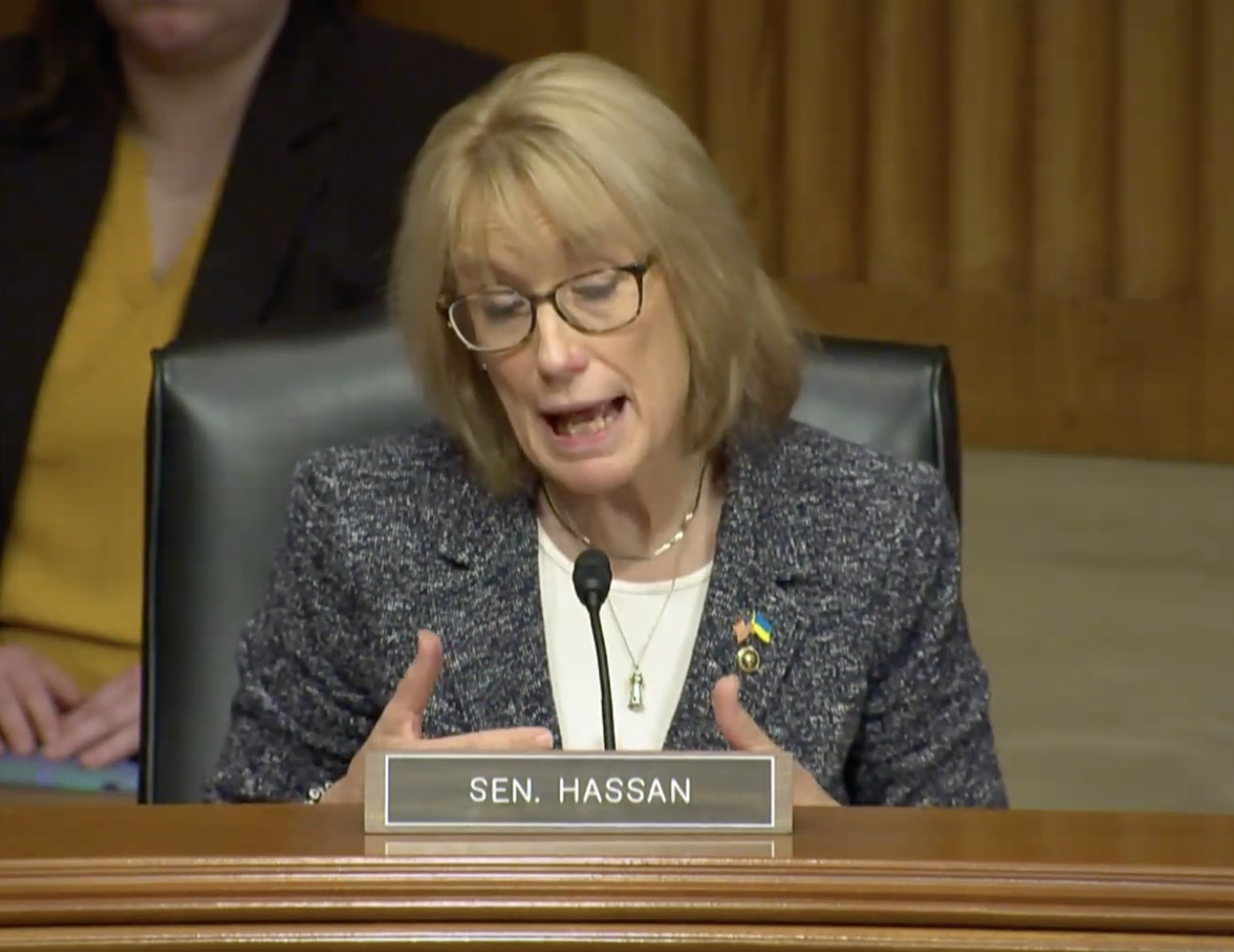 Watch: D.C. Homeland Security committee Q&A with Sen. Hassan on role of AI in government