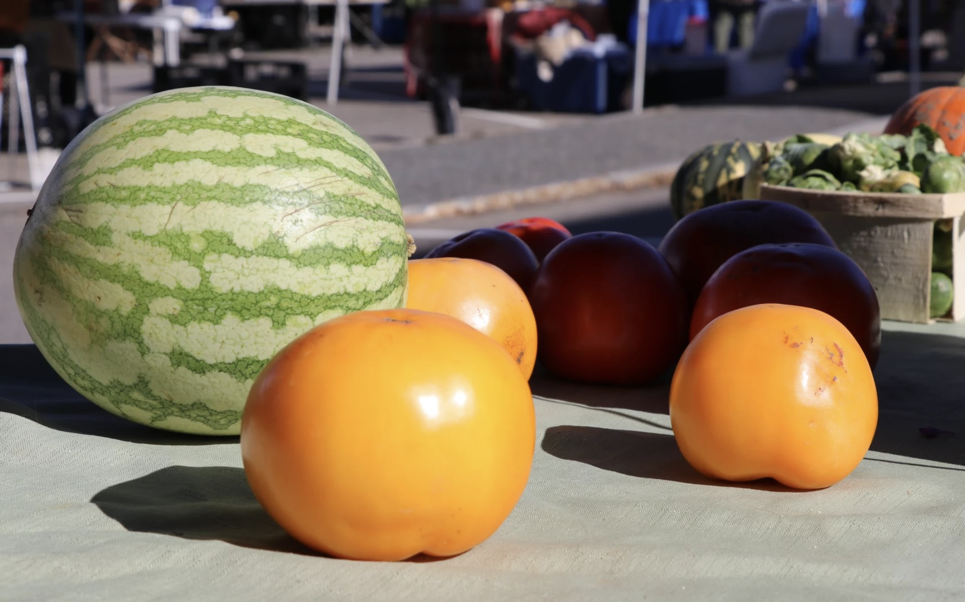 New USDA plant hardiness zones come as no surprise to many Granite State gardeners