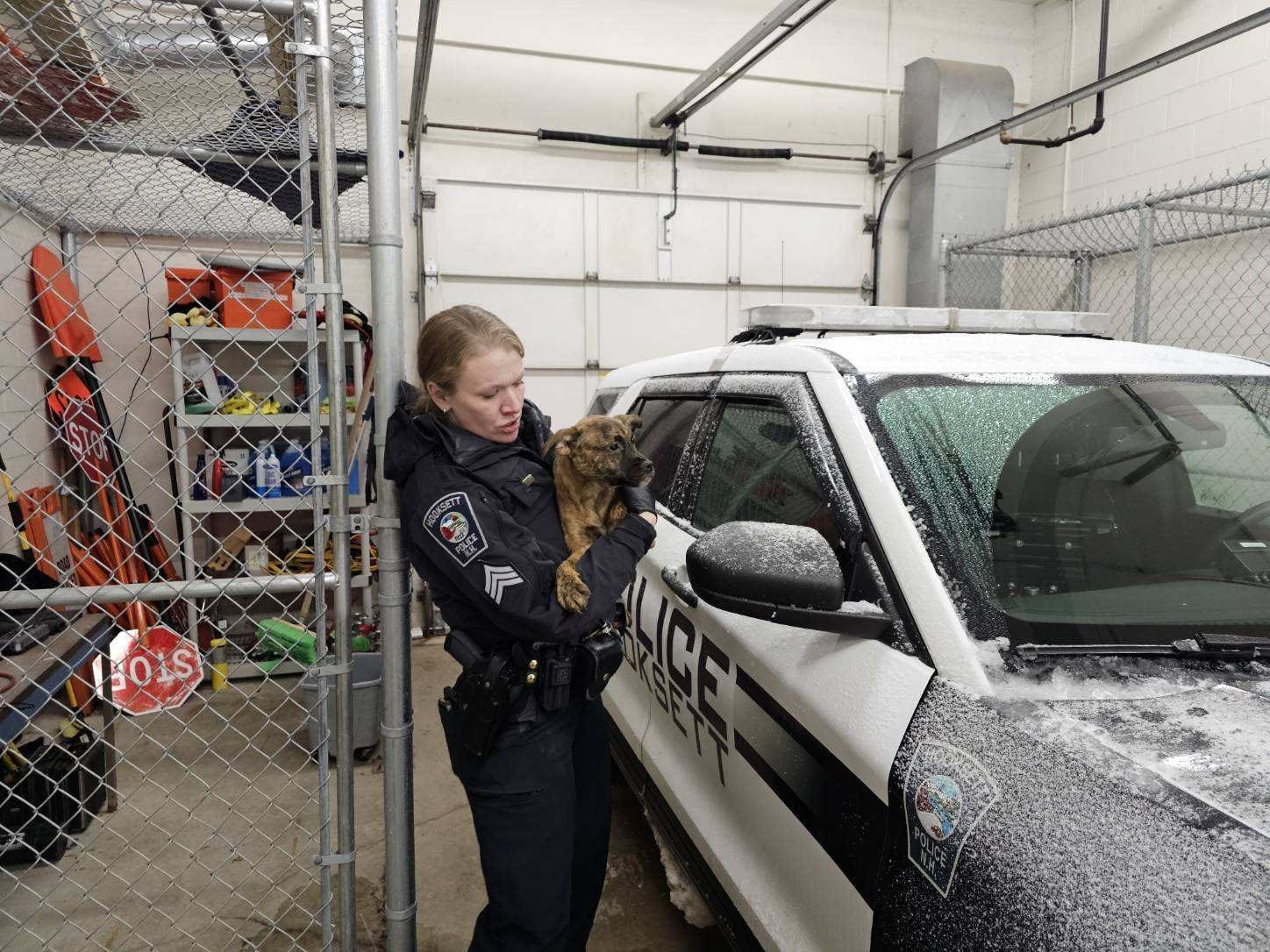 Child, 15 puppies and dogs found living in ‘deplorable’ conditions removed from Hooksett home