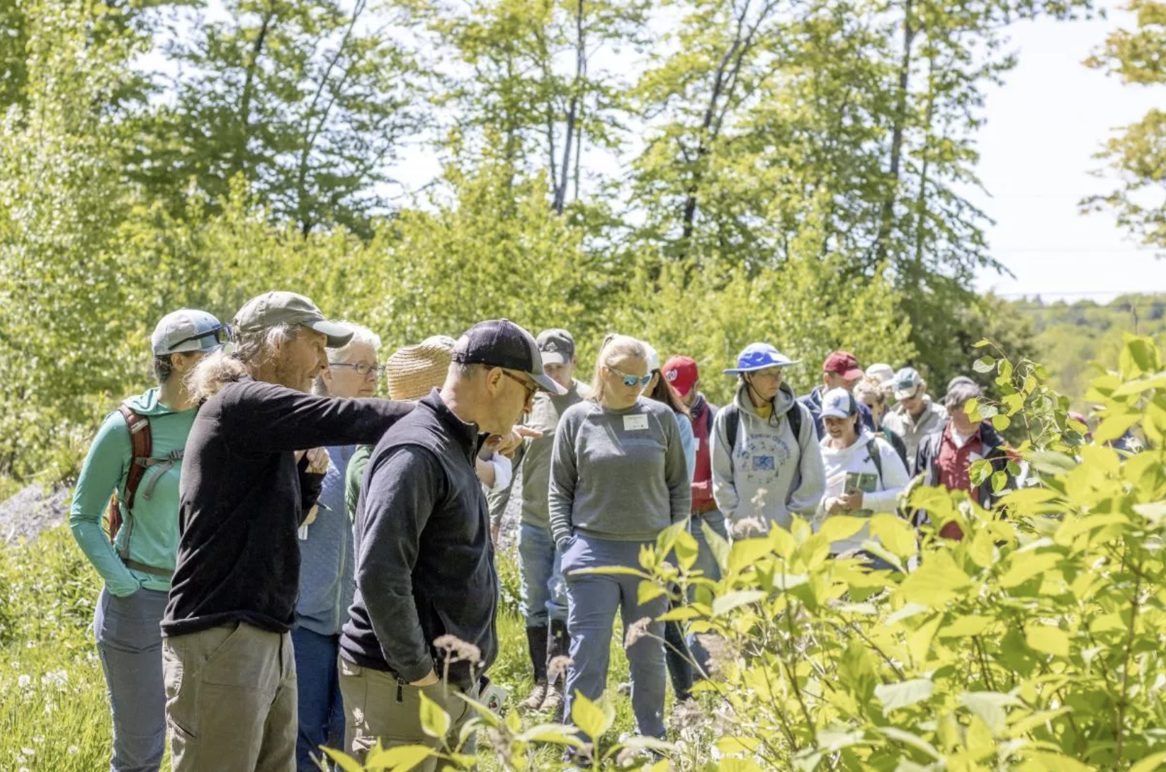 ‘Coverts Project’ seeks volunteers for New Hampshire’s Wildlife and Forests