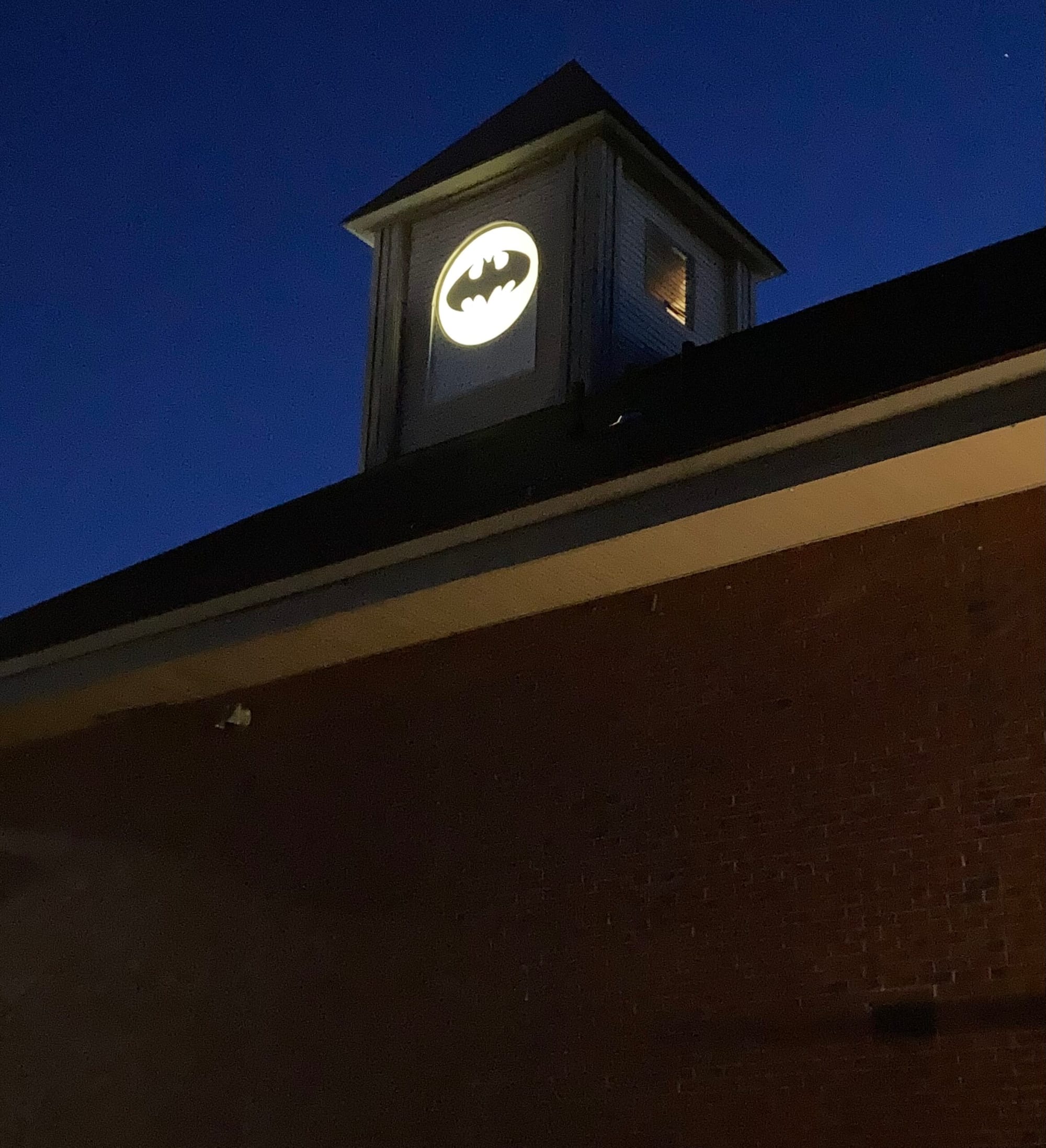 April 17: Going batty for International Bat Appreciation Day