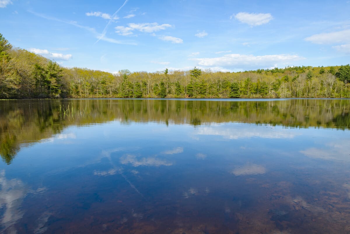 Manchester Parks and Rec partners with Hunt’s Photo for beginner photography camp