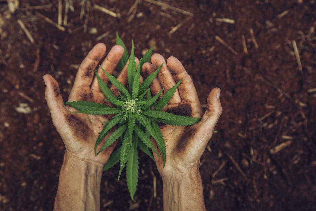 Cannabis legalization set for negotiations after frustrations among House supporters