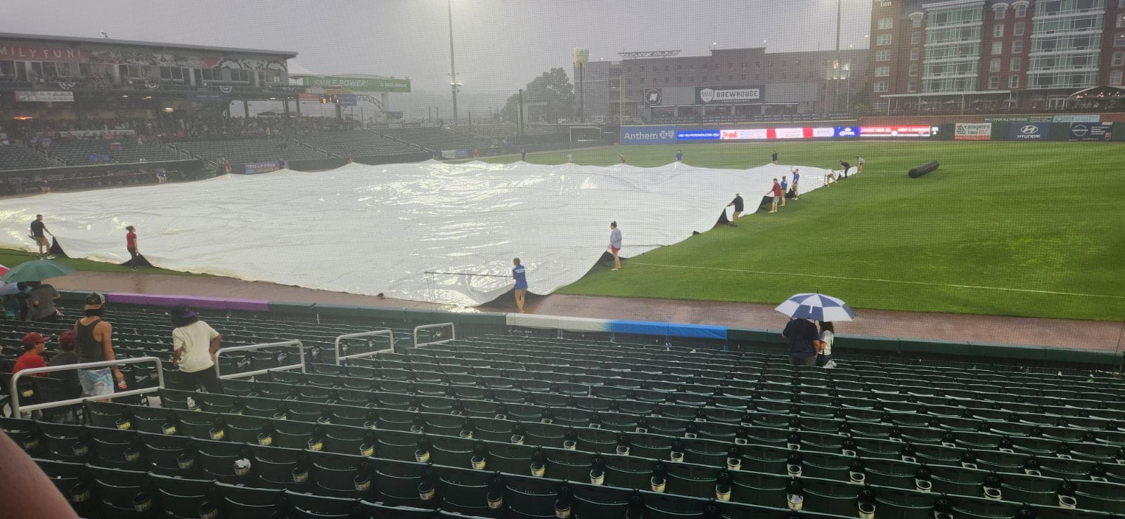 It’s raining ‘Cats and ‘Goats out there