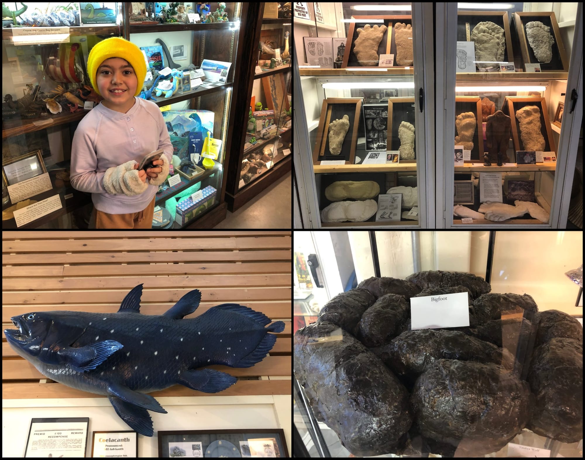 Searching for the impossible (or at least unlikely); or, adventuring to Maine to find Yeti poop