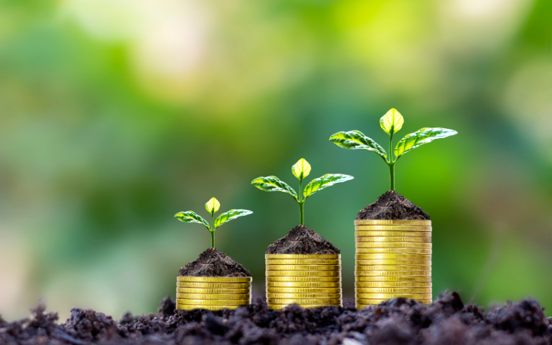 Citizens announces $35K in Financial Empowerment Grants to NH nonprofits