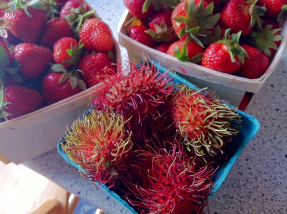 My fresh produce from Farm and Flower Market.