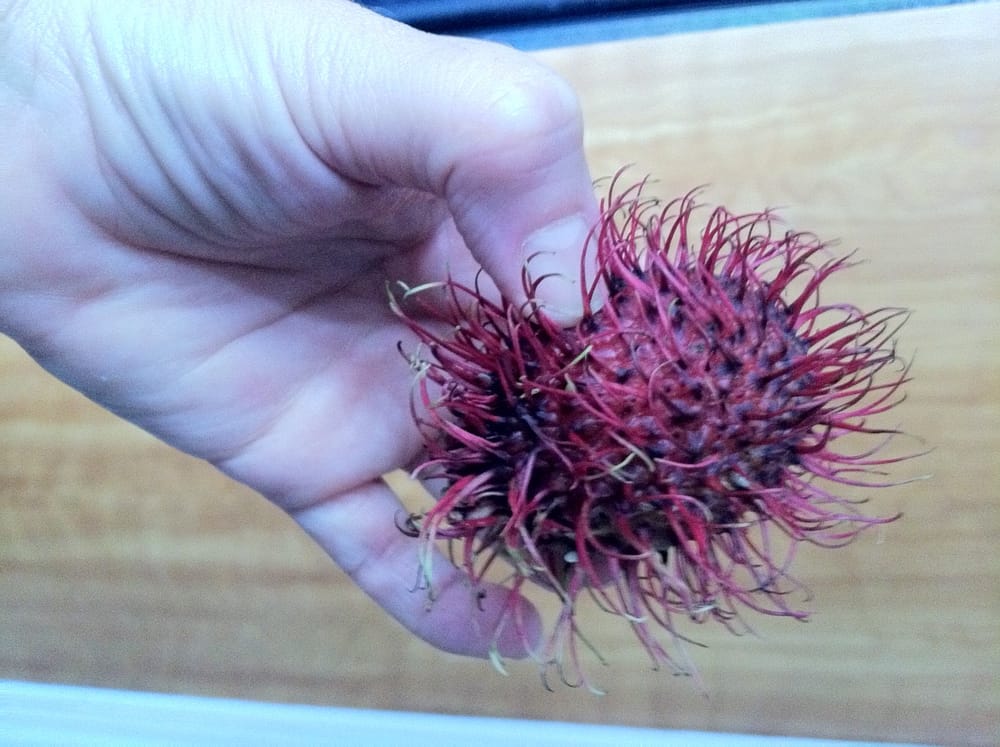 Alien Fruit Invasion, aka, ‘What’s a Rambutan?’ post image