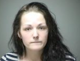 Woman leads police in low-speed chase, nabbed by police dog after fleeing on foot post image