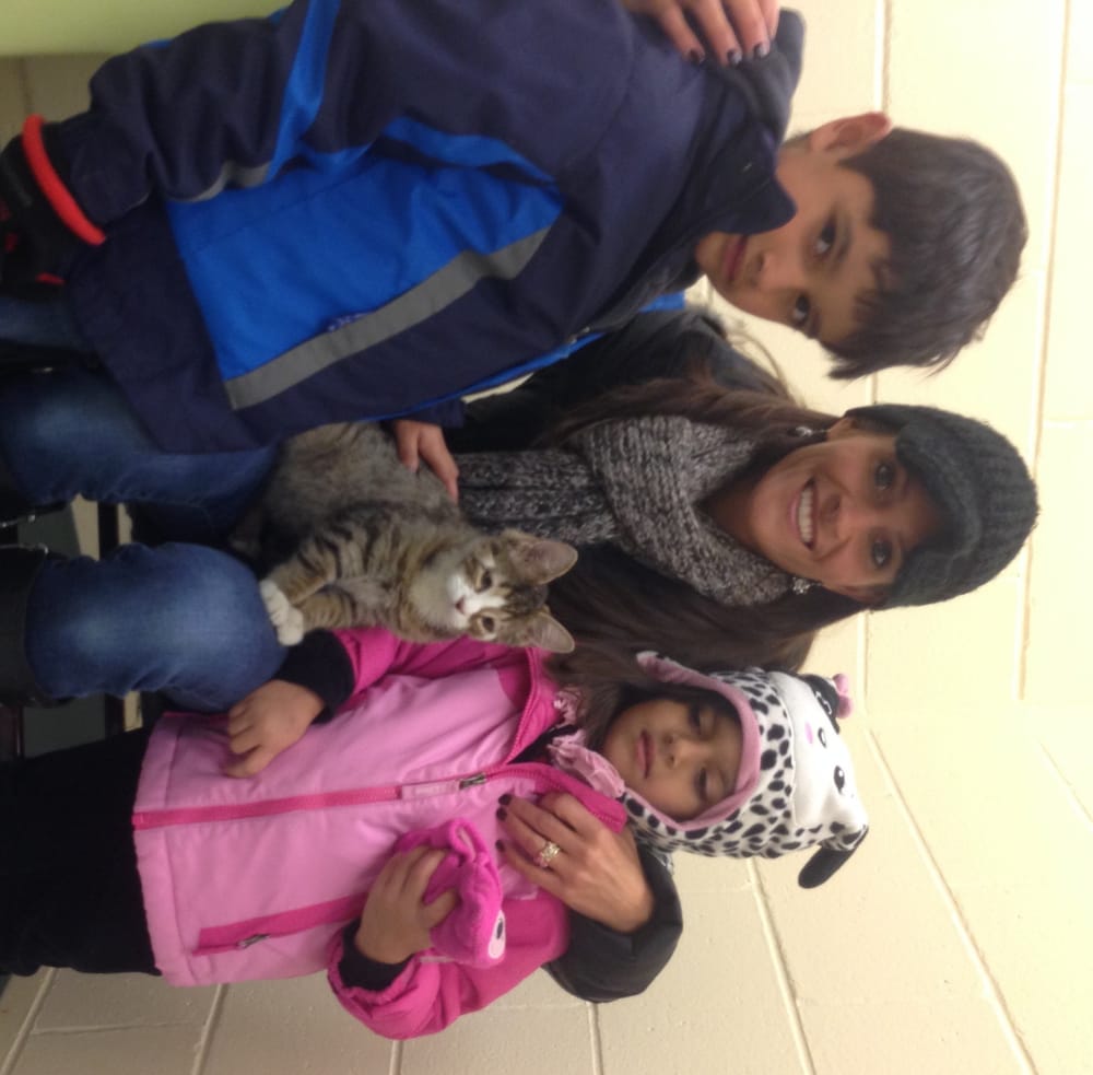 Phil Update: Cat with no eyelids (and his sidekick) found a home post image