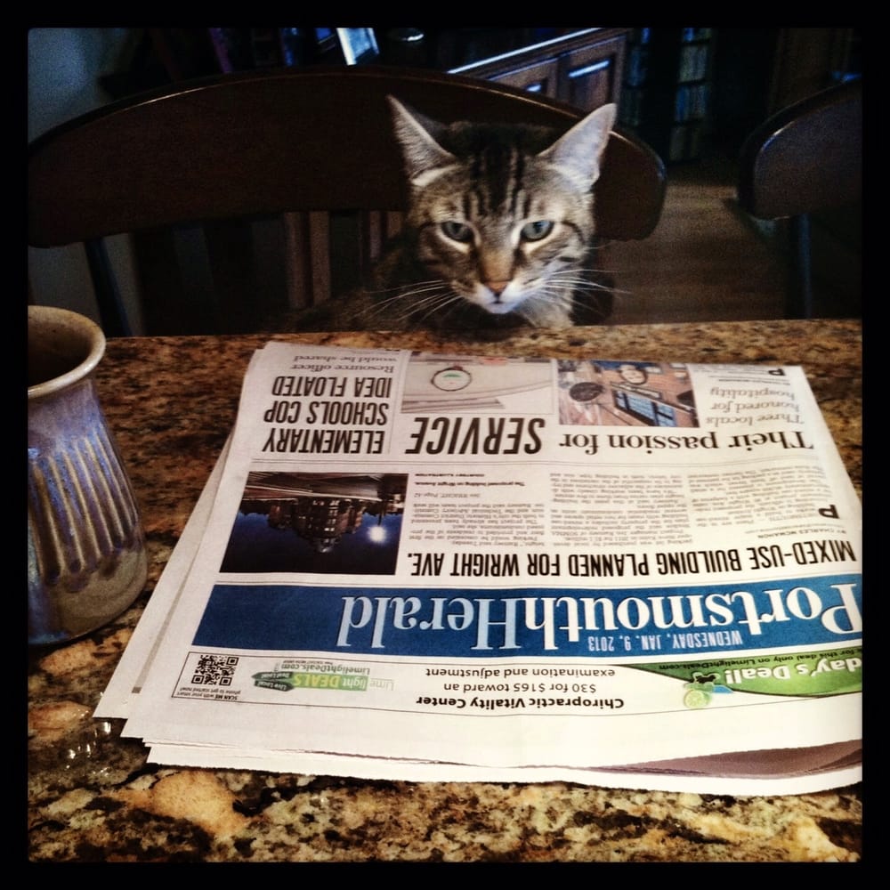 Political primary animals dish on Sarah Palin, Mitt Romney, Newt Gingrich post image