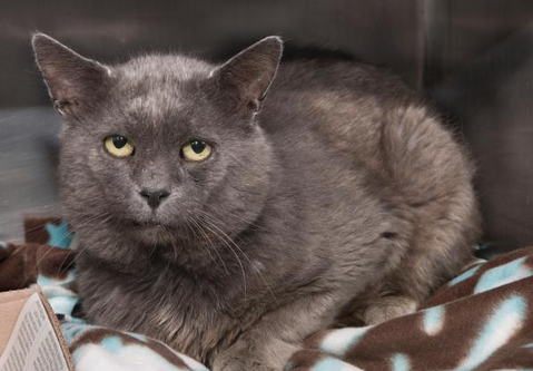 Those eyes: Hills is looking for someone to watch over him post image
