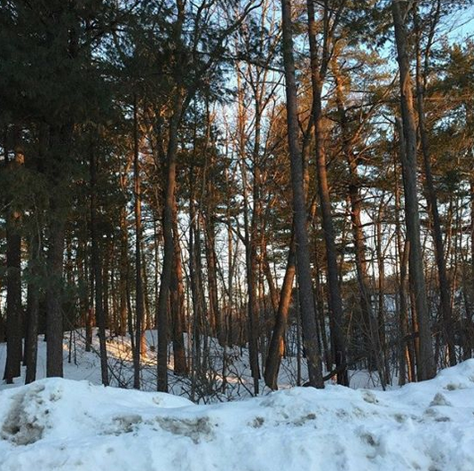 March rolls in like a lion — covered in snow post image