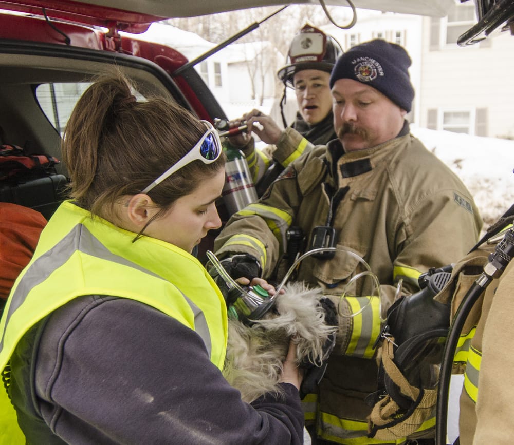 7 displaced in Mitchell Street fire, dog rescued from apartment did not survive post image