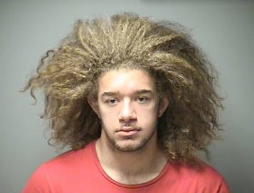 Alleged bicycle burglar charged after smash-and-grab at West Side bike shop post image