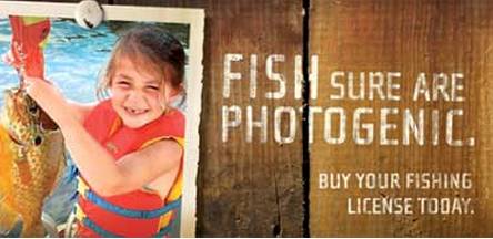 Hook, line, sinker: NH Weekly Fishing Report – April 23, 2015 post image